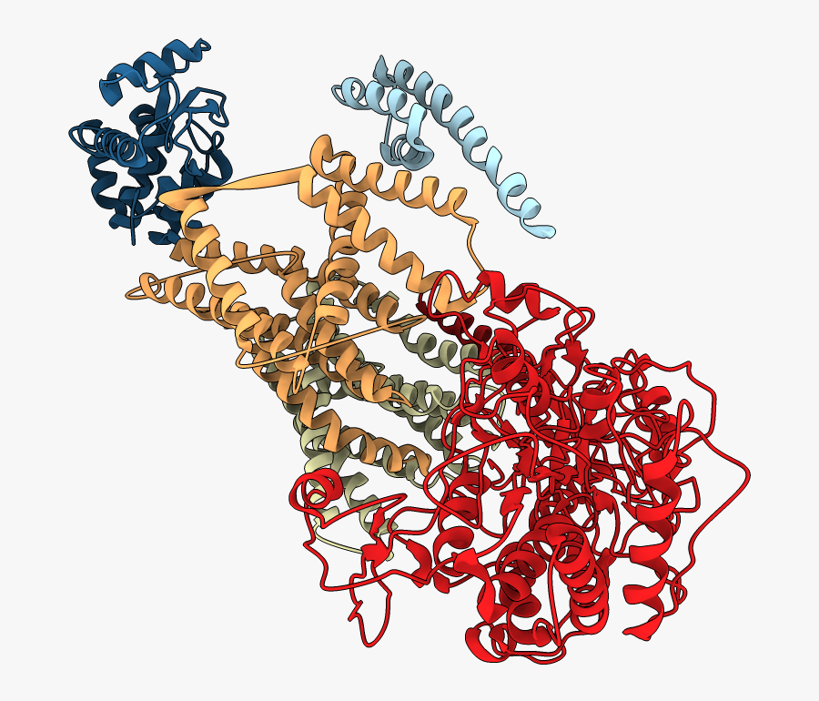 Graphic Design, Transparent Clipart