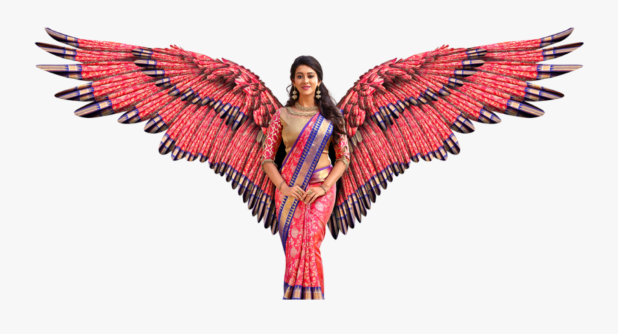 Illustration, Transparent Clipart