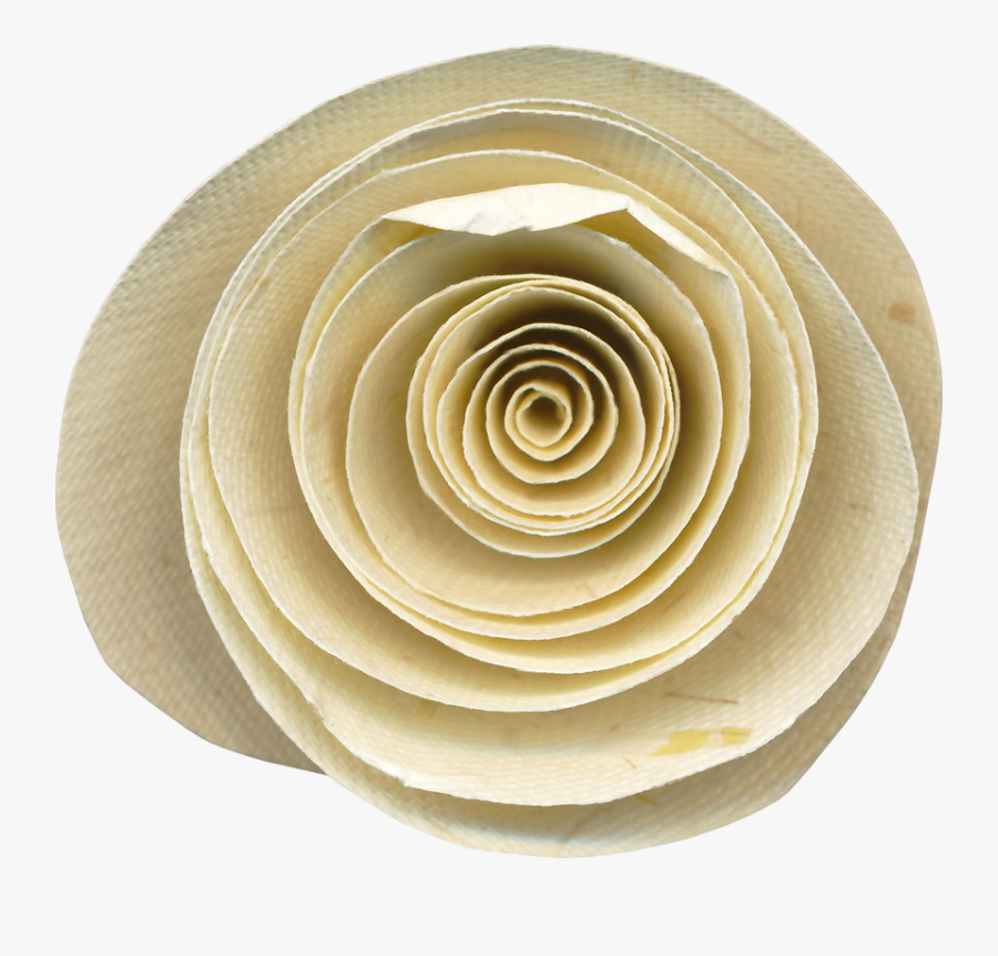 Transparent Winter Flower Clipart - Garden Roses, Transparent Clipart