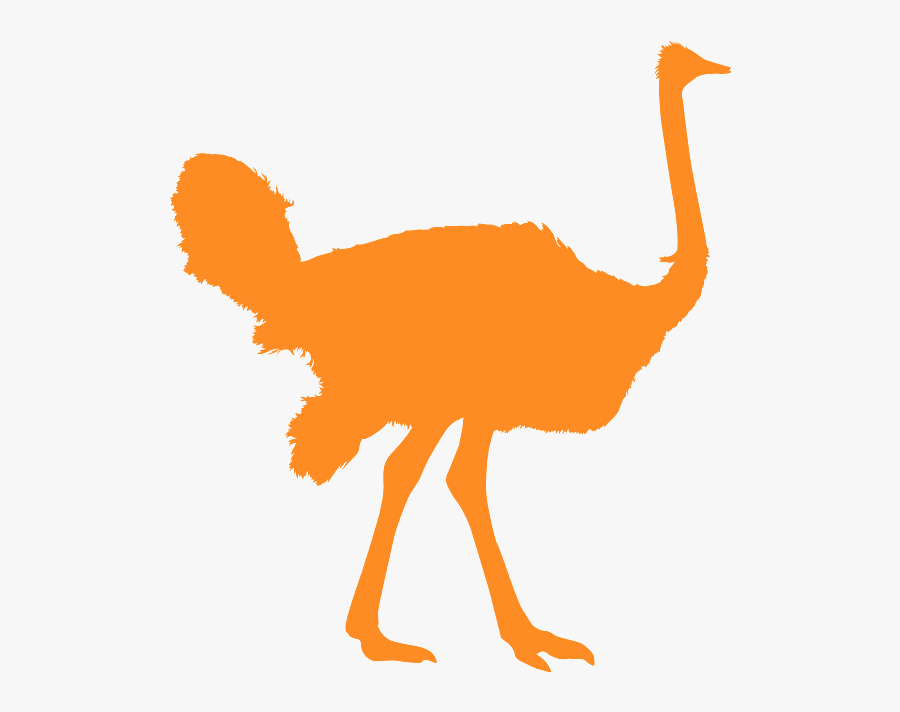 Ostrich Vector, Transparent Clipart