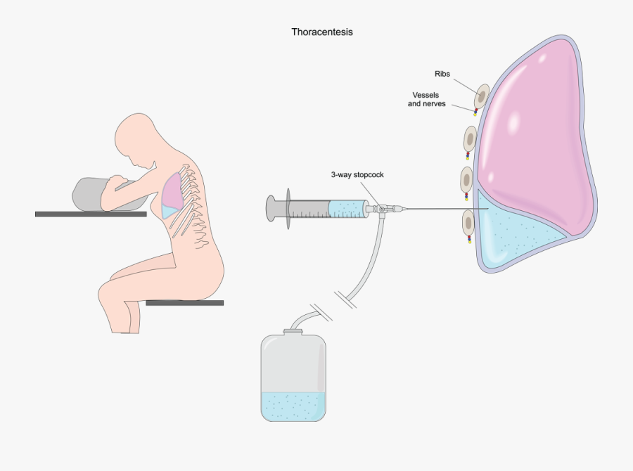 Sitting, Transparent Clipart