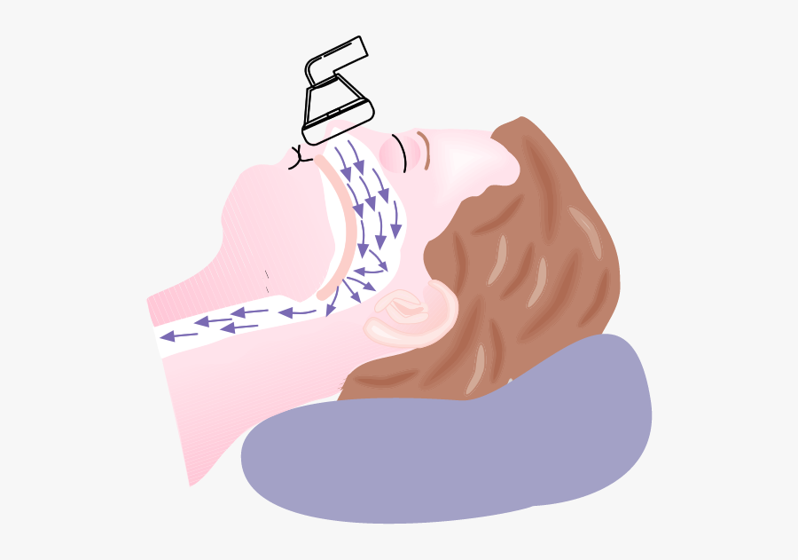 Illustration, Transparent Clipart