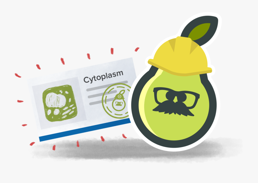 Clip Art Pear Slidesvocabimagespng - Pear Deck Flashcard Factory Logo, Transparent Clipart