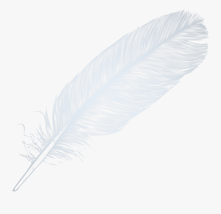Capital City Explorer - White Feather Transparent Background, Transparent Clipart