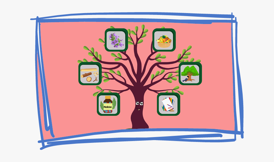 Frames On Tree Vector, Transparent Clipart