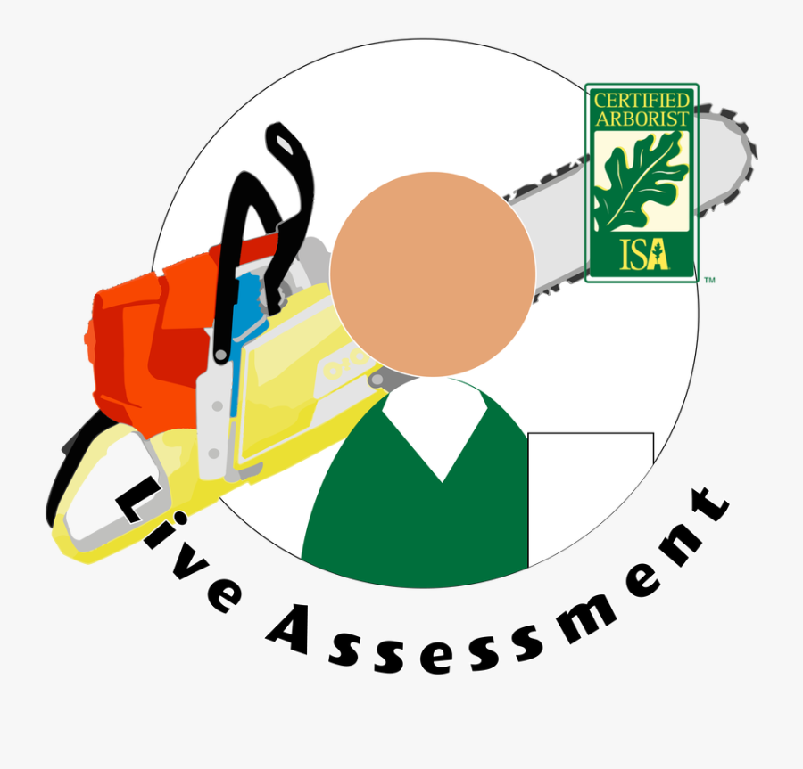 Picture - Isa Certified Arborist, Transparent Clipart