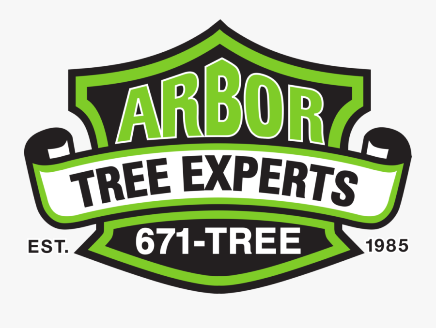 Arbor Tree Experts, Tree Service Webster - Harley Davidson, Transparent Clipart