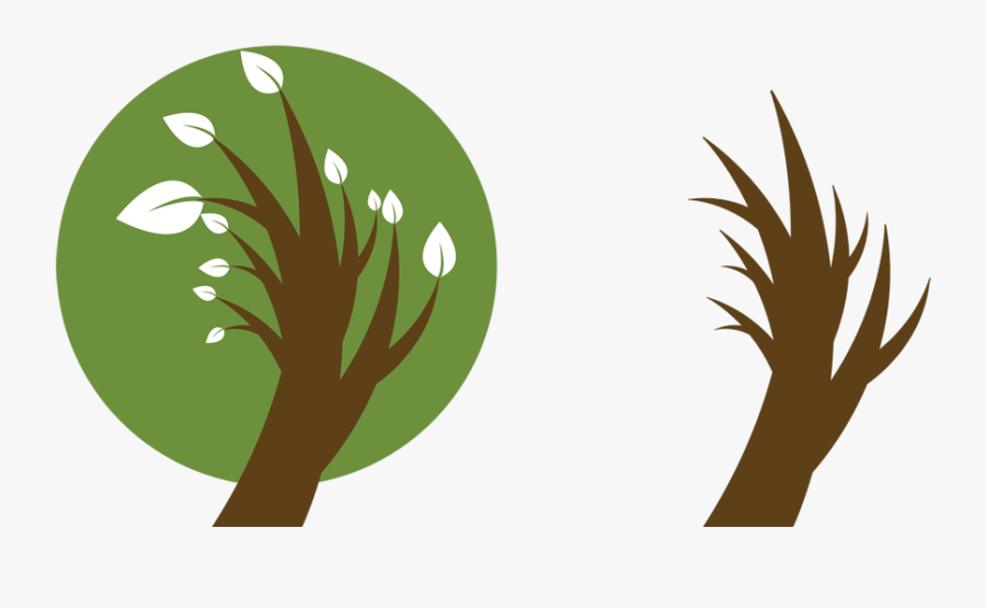 Crown Cleaning - Illustration, Transparent Clipart