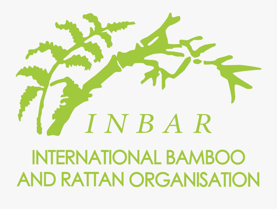 Inbar Bamboo, Transparent Clipart