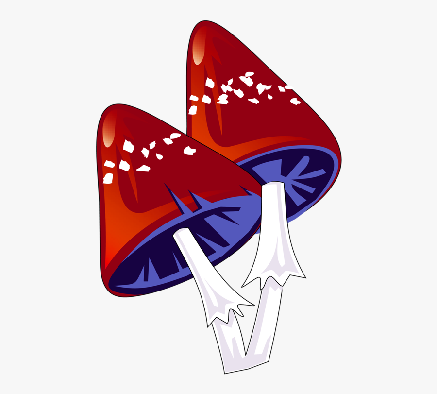 Mushroom Vector, Transparent Clipart