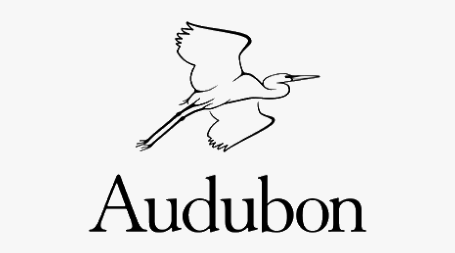 National Audubon Society Logo, Transparent Clipart