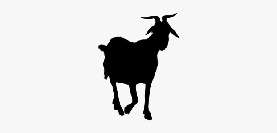 Transparent Mountain Goat Clipart - Goat, Transparent Clipart