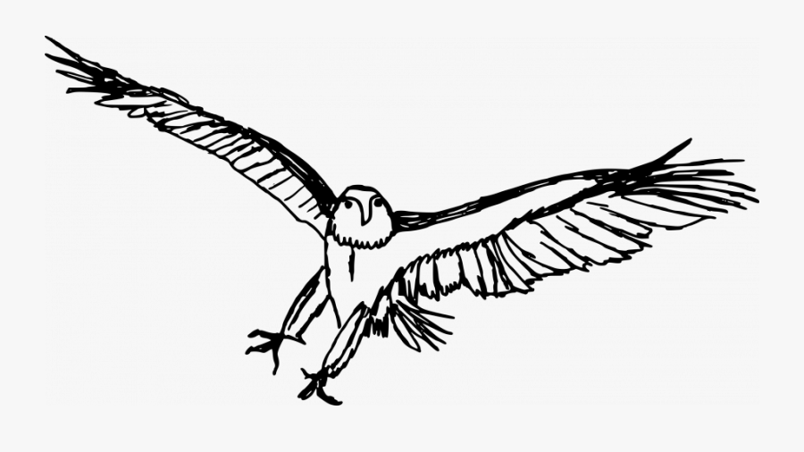 Eagle Globe Anchor Drawing Easy Colour Clip Online - Eagle Drawing Transparent Background, Transparent Clipart