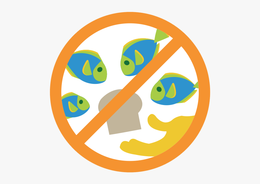 Don"t Feed Fish - Don T Feed Fish, Transparent Clipart