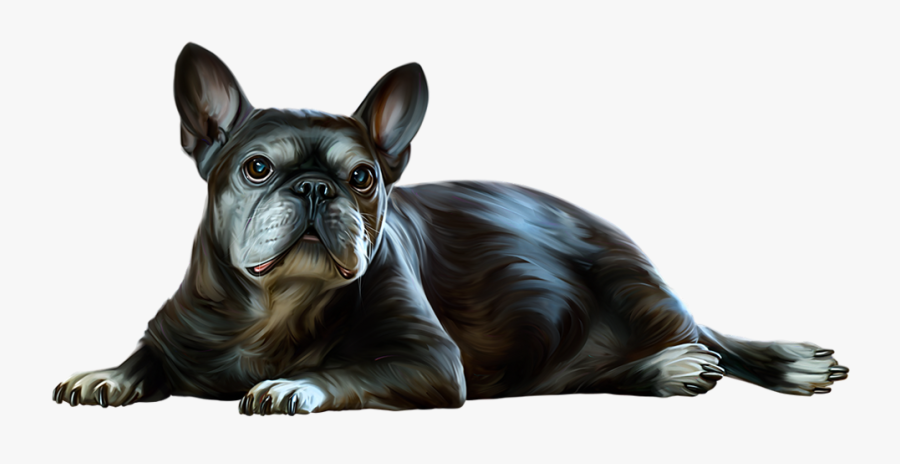 French Bulldog, Transparent Clipart