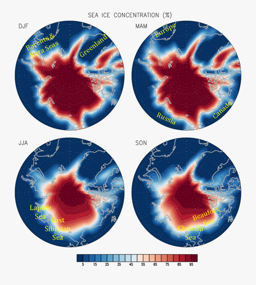 Geography Of The Arctic Ocean And The Seasonal Patterns - Circle, Transparent Clipart