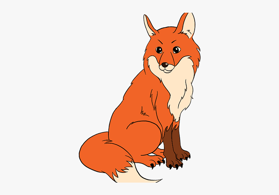 Draw A Fox In A Few Steps, Transparent Clipart