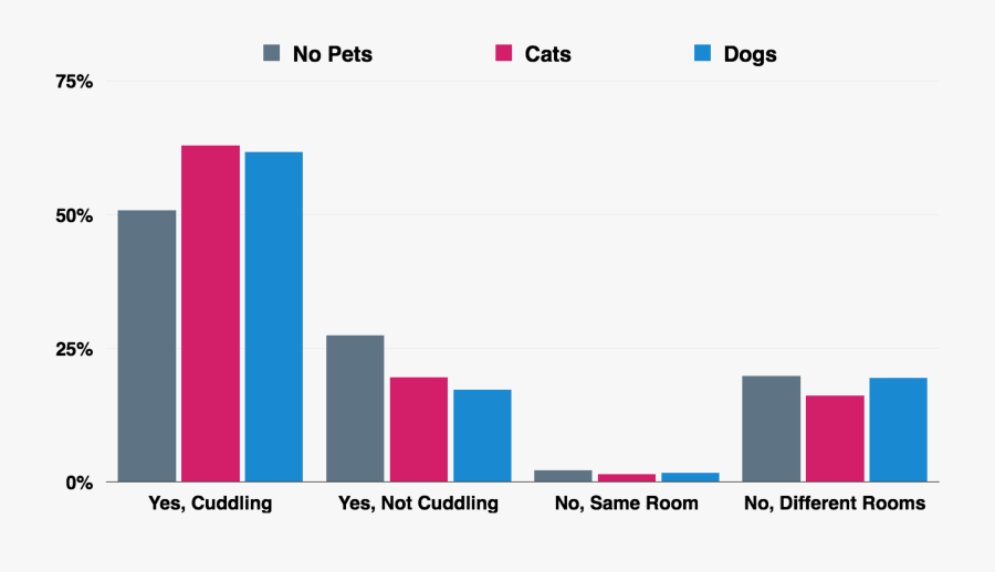 Screenshot, Transparent Clipart