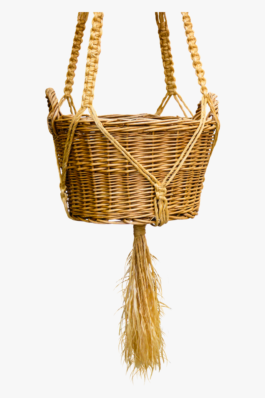 Basket Wicker Basket Isolated Kitten In The Basket-, Transparent Clipart