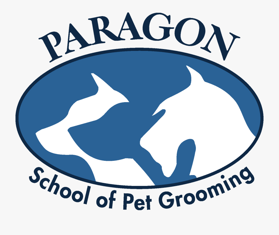 Paragon School Of Pet Grooming Clipart , Png Download Paragon School