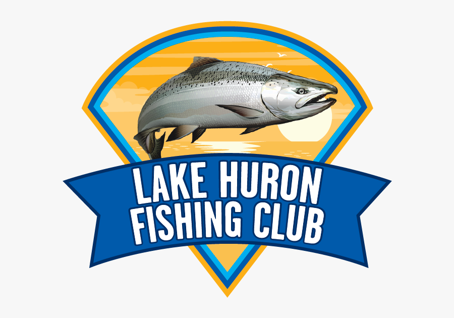 Salmon, Transparent Clipart