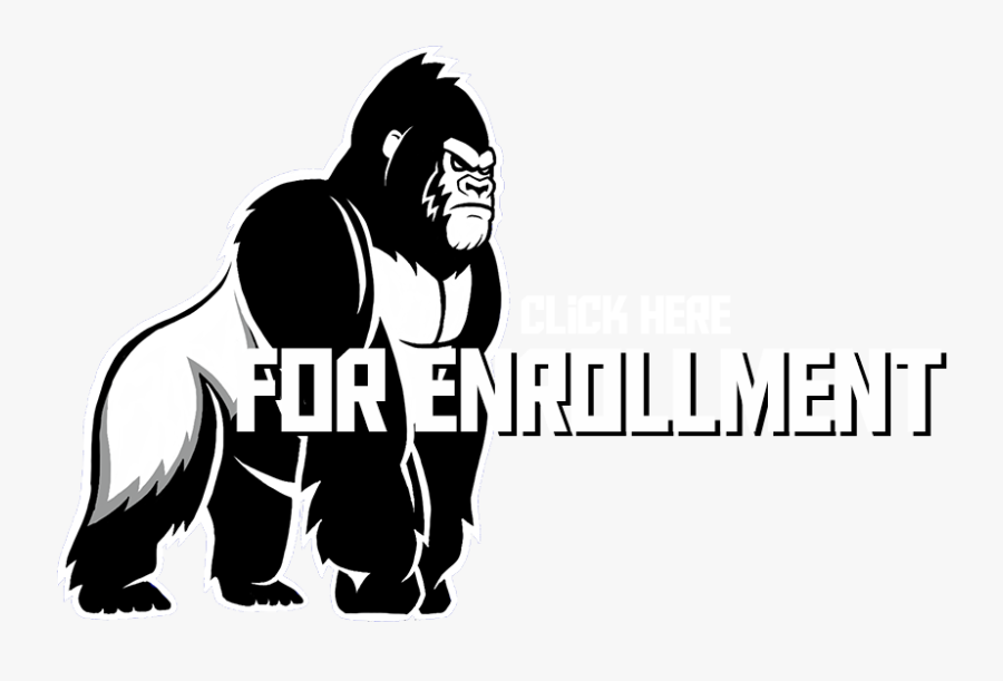 Real Gorilla Body Transparent, Transparent Clipart