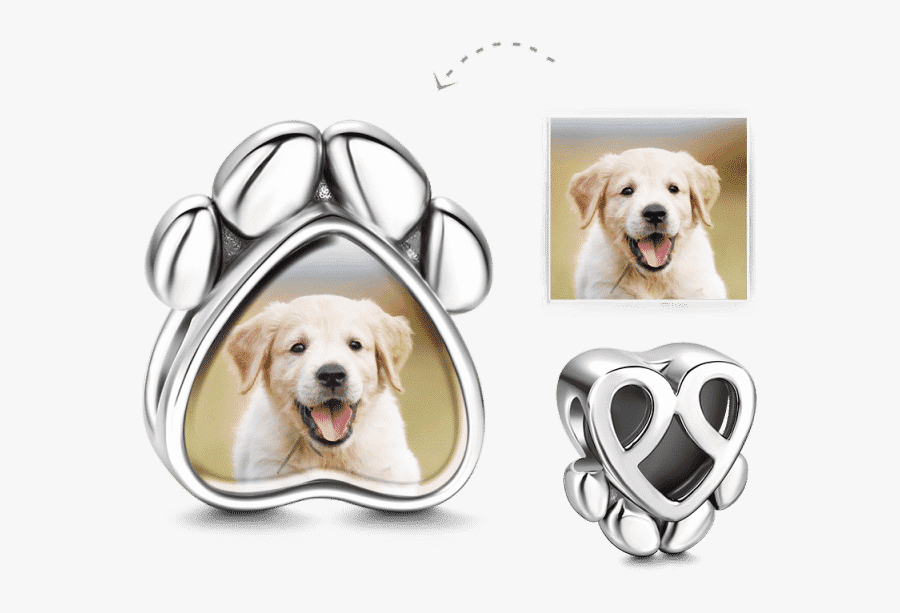 Labrador Retriever, Transparent Clipart