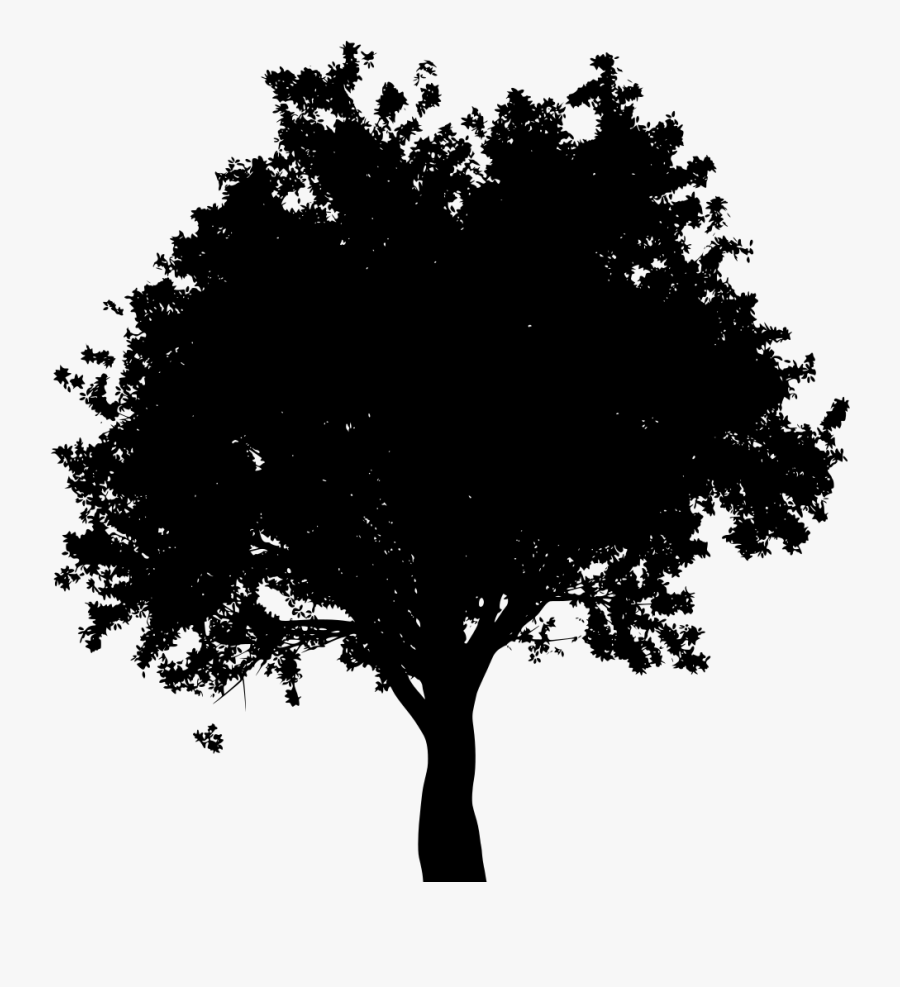 Oak Tree Black And White - Black & White Oak Tree, Transparent Clipart