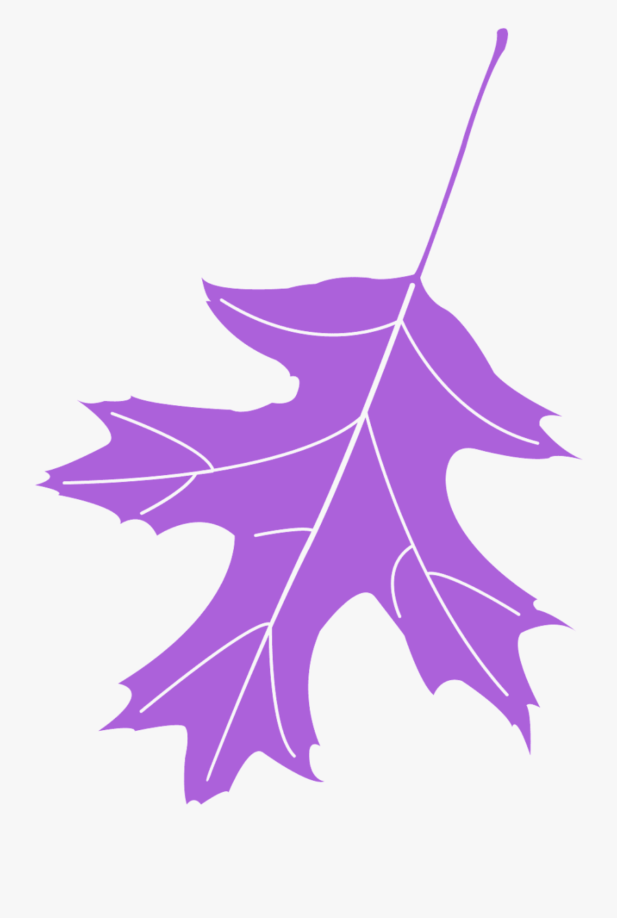 Leaf Oak, Transparent Clipart
