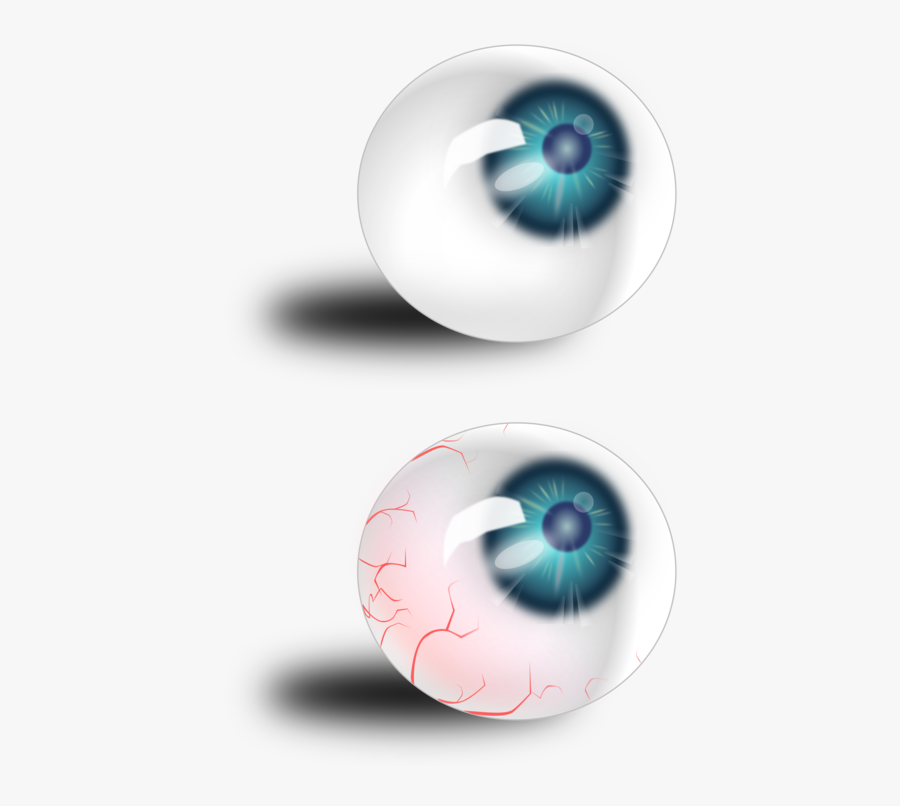 Nautilida,iris,close Up - Gambar Bola Mata Png, Transparent Clipart