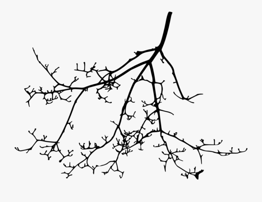 Free Png Tree Branch Silhouette Png Images Transparent - Branchy Tree Silhouette Png, Transparent Clipart