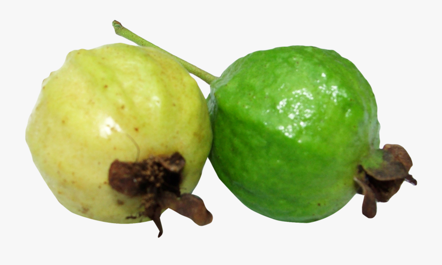 Common Fruit,strawberry Guava,produce,myrtle Family,natural - Clipart Picture Of Guava, Transparent Clipart