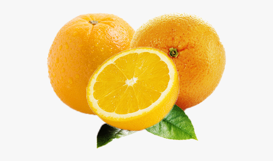 Orange Fruit Png Images Free Download Searchpng - Rangpur, Transparent Clipart