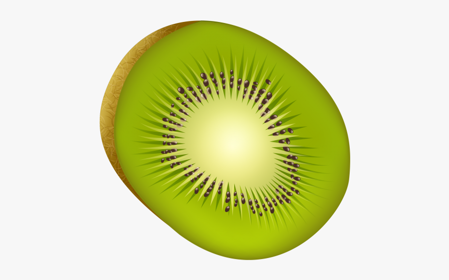 Kiwi Fruit Png Image Free Download Searchpng - Kiwi Fruit Png, Transparent Clipart