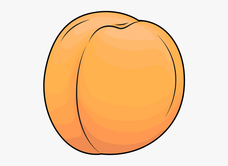 Circle, Transparent Clipart