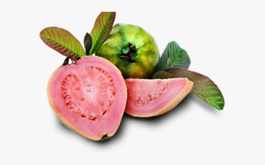 Guava Png, Transparent Clipart