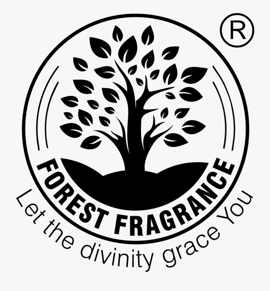 Colorado Division Of Homeland Security And Emergency, Transparent Clipart