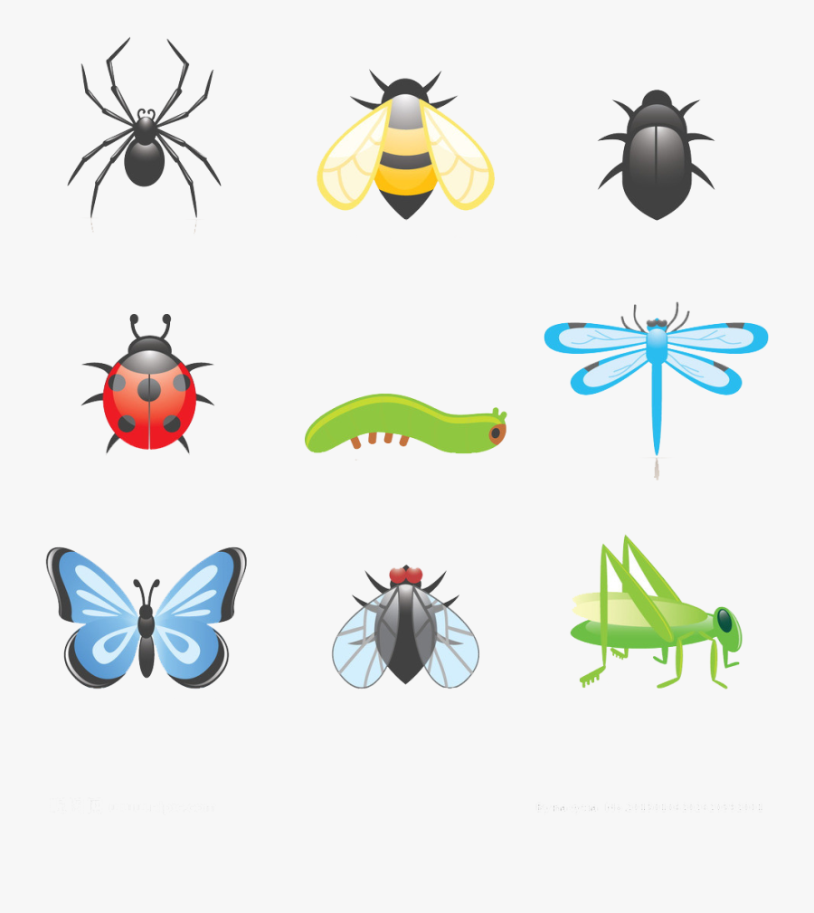 Cartoon Clip Art Transprent - Cartoon Insect, Transparent Clipart