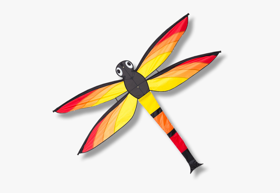 Net-winged Insects - Dragonfly, Transparent Clipart