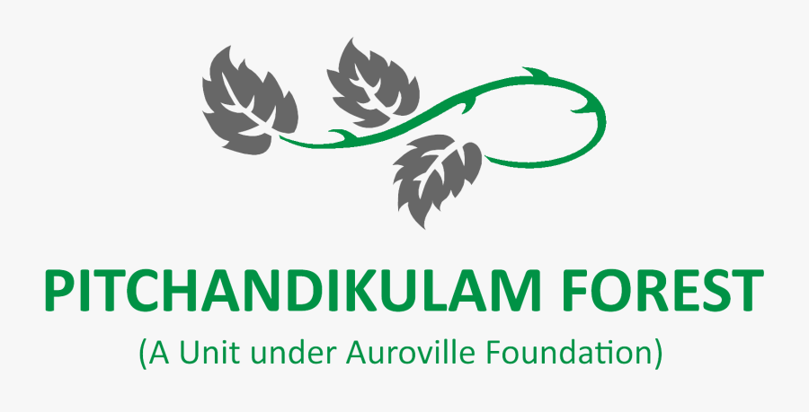 Fahutan, Transparent Clipart