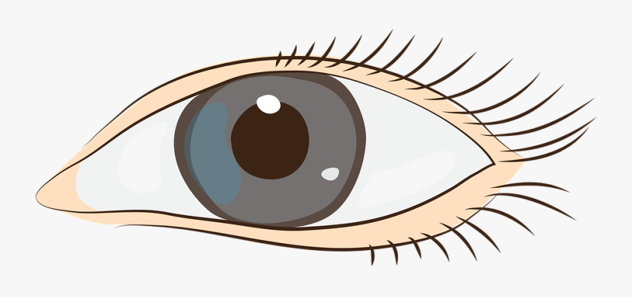 Thumb Image - Auge Clipart, Transparent Clipart