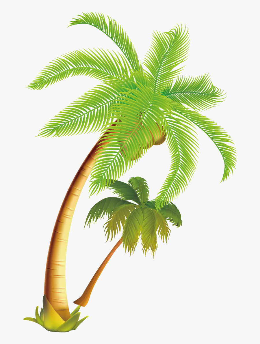 Coconut Tree Png - Coconut Tree Vector Png, Transparent Clipart