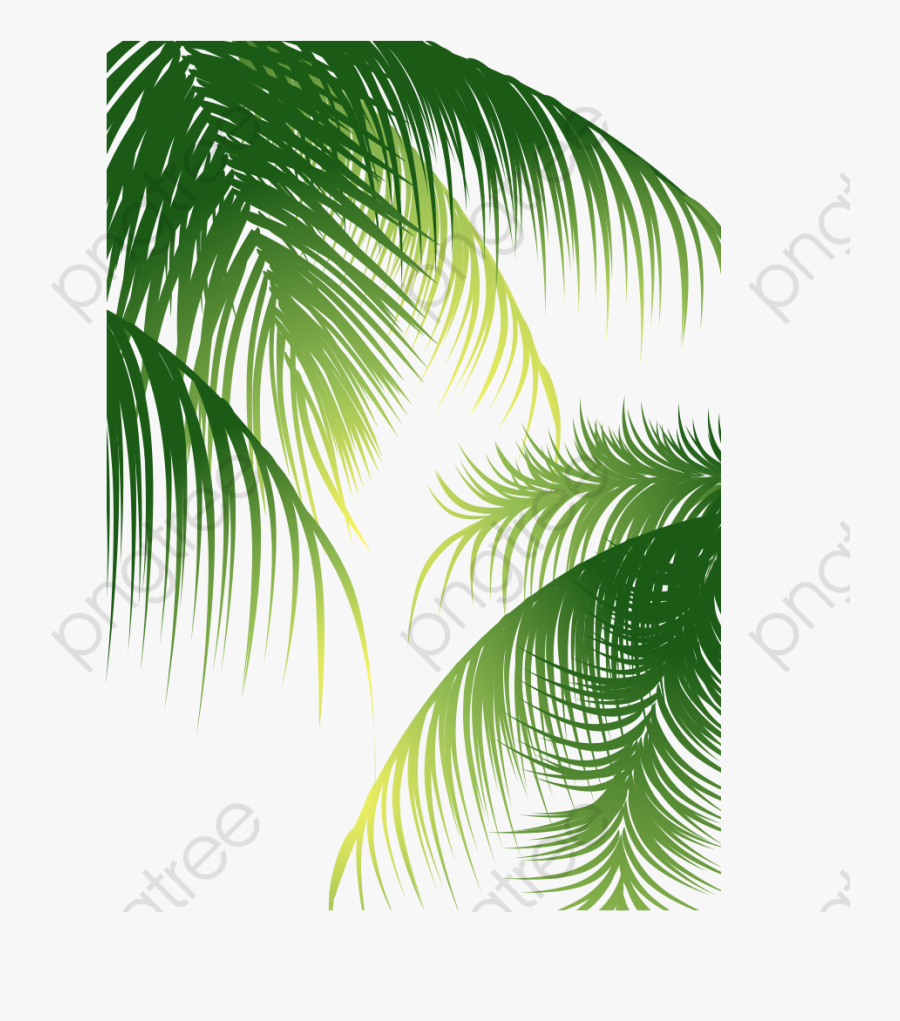 Transparent Leaves Clipart Png - Coconut Leaves Vector Png, Transparent Clipart