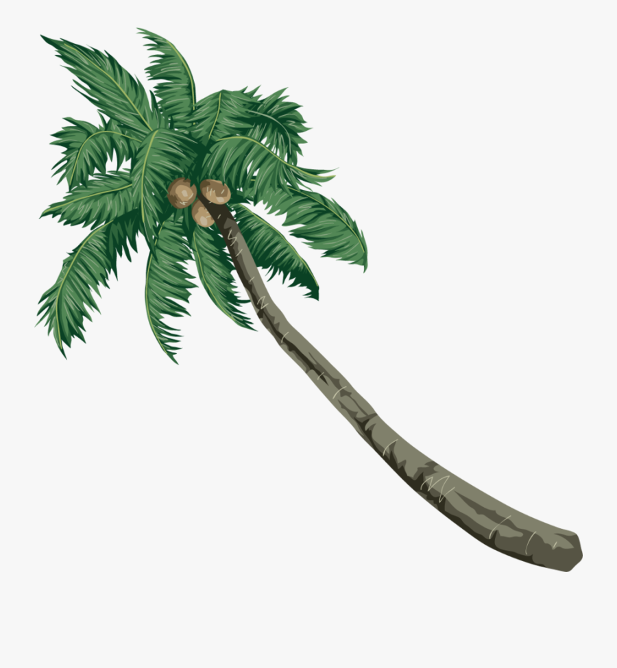 Coconut Clipart Coconut Palm Trees - Roystonea, Transparent Clipart