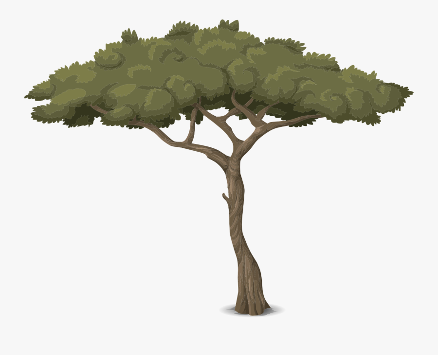 Rama De Tronco De Árbol - Baum Mit Hohem Stamm, Transparent Clipart