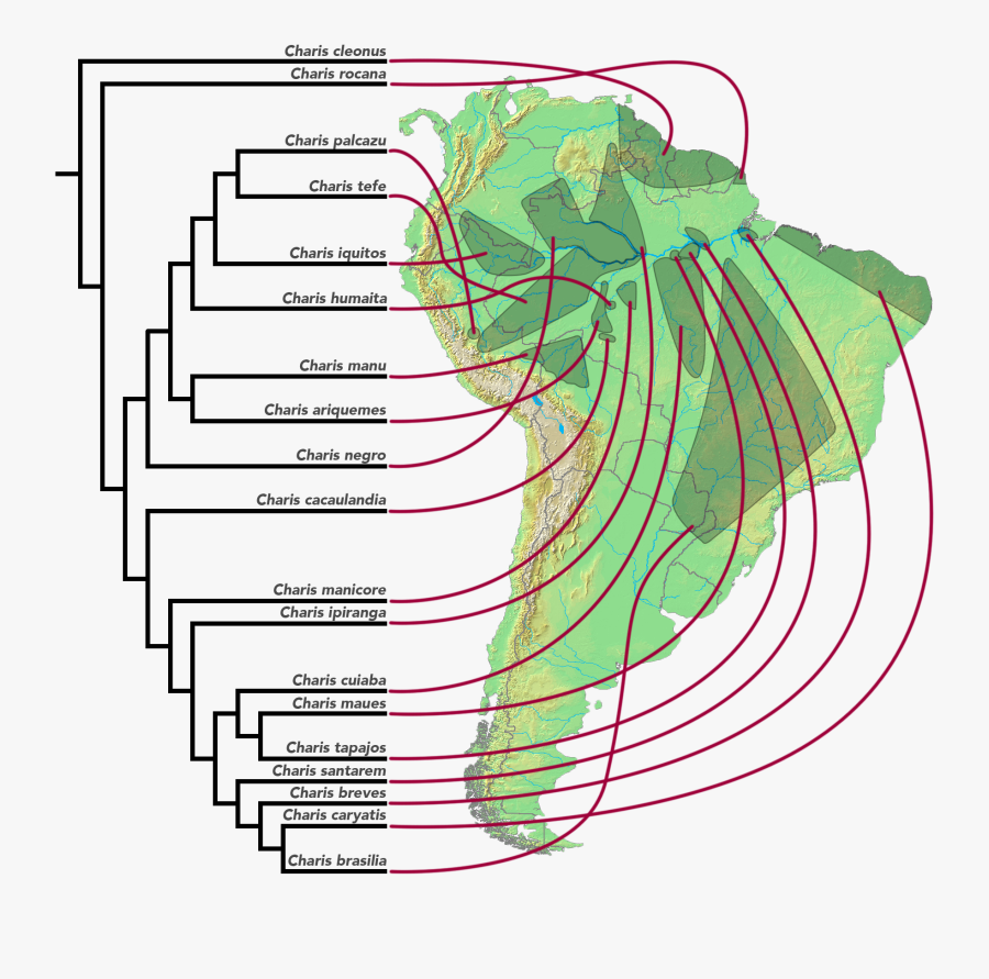 Brown Lomolino Biogeografia Pdf Editor - Finches Migration In The Galapagos Islands, Transparent Clipart