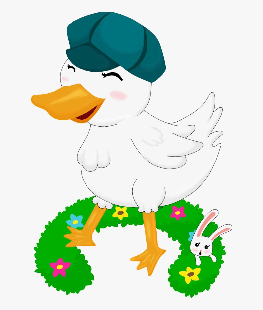 Duck, Transparent Clipart