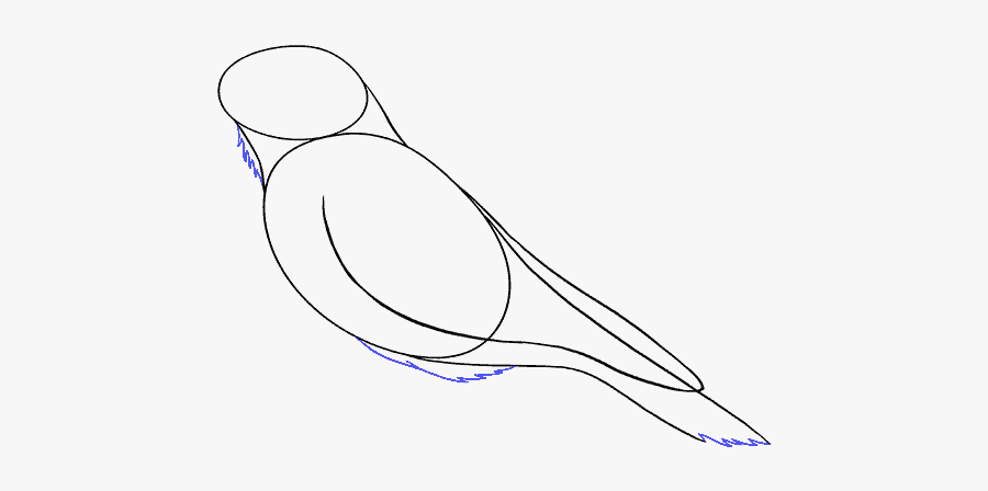 How To Draw Raven - Sketch, Transparent Clipart