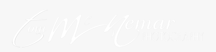 Transparent Table Setting Png - Magnolia Audio Video, Transparent Clipart