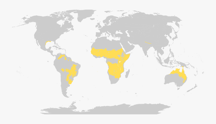 Grassland Biome Animals Lions - Savanna World Map, Transparent Clipart
